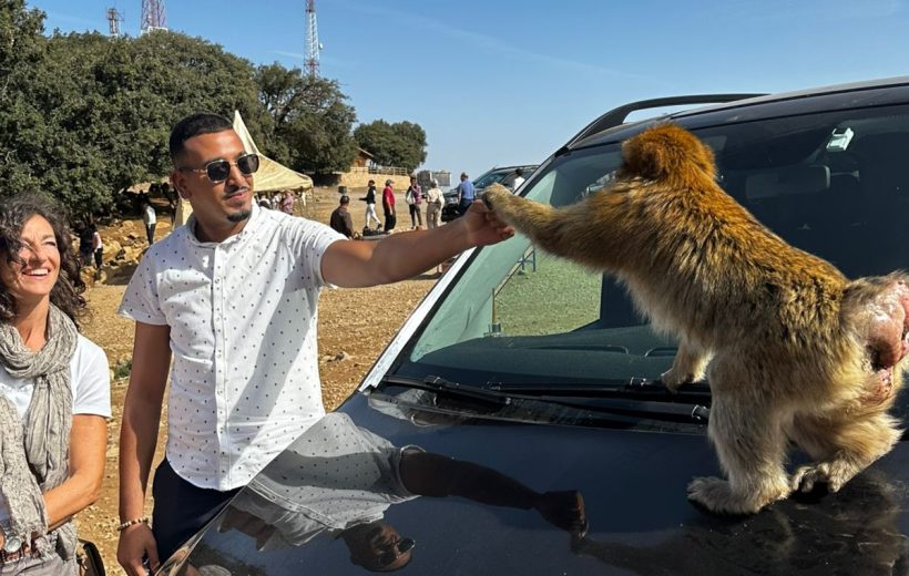 Fes to Middle Atlas day trip